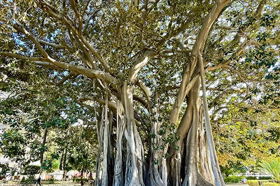 Sehenswürdigkeiten in Palermo: Giardino Garibaldi Sehenswürdigkeiten in Palermo: Giardino Garibaldi